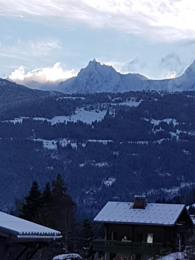 Appartement - Combloux Luaran gambar